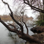 Desbravando as Américas