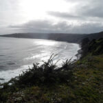 Desbravando as Américas