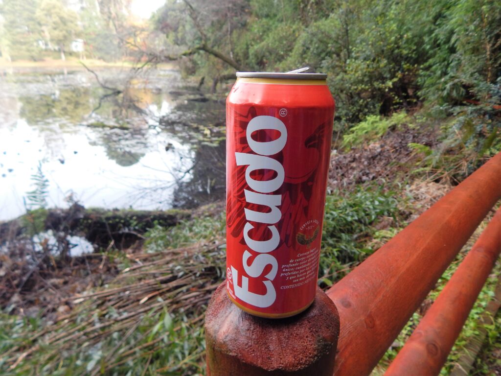 Desbravando as Américas