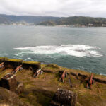 Desbravando as Américas