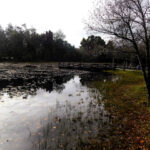 Desbravando as Américas