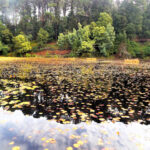 Desbravando as Américas