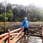 Desbravando as Américas