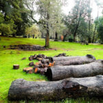 Desbravando as Américas